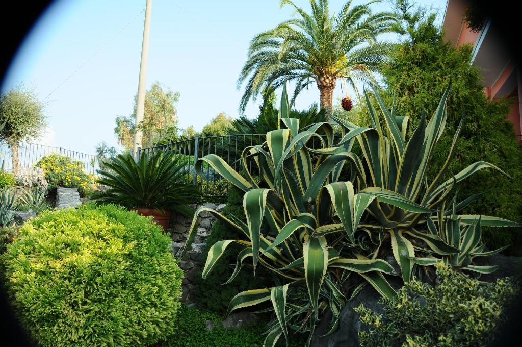 Residence La Cycas 빌람마레 외부 사진